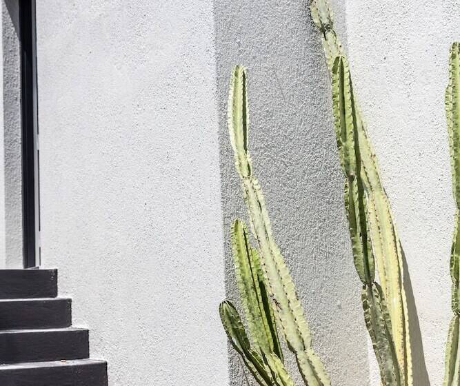 スイート, Scorpios Beach