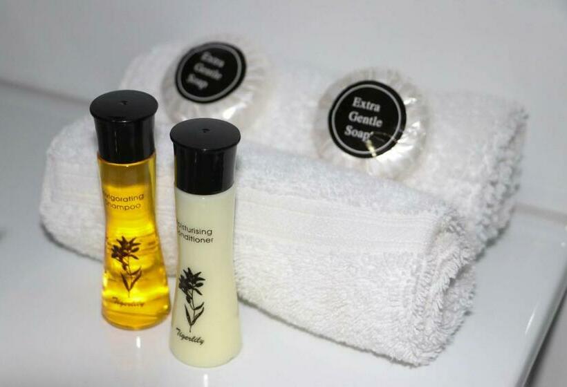 غرفة قياسية, Emerald Park Motel