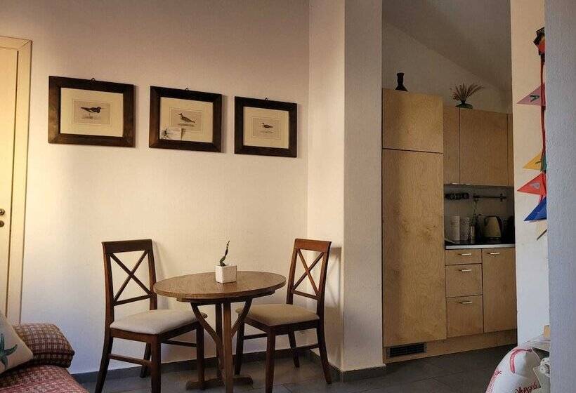 آپارتمان 1 خوابه, Mojocohouse