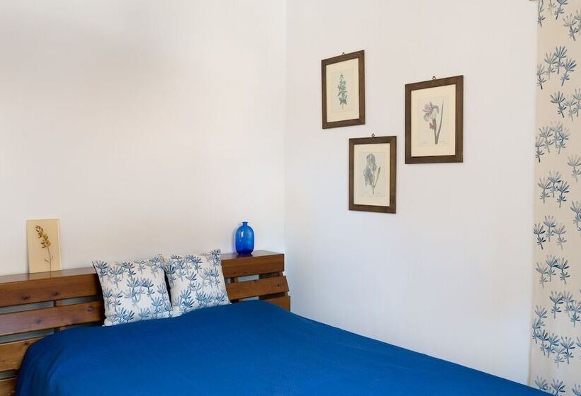 스탠다드 룸, Mojocohouse