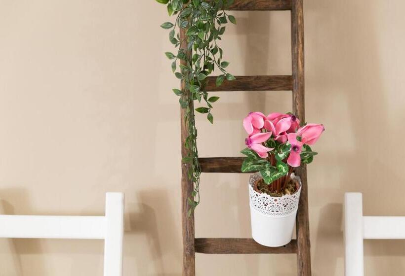 חדר משפחתי, Pura Vida Barocca