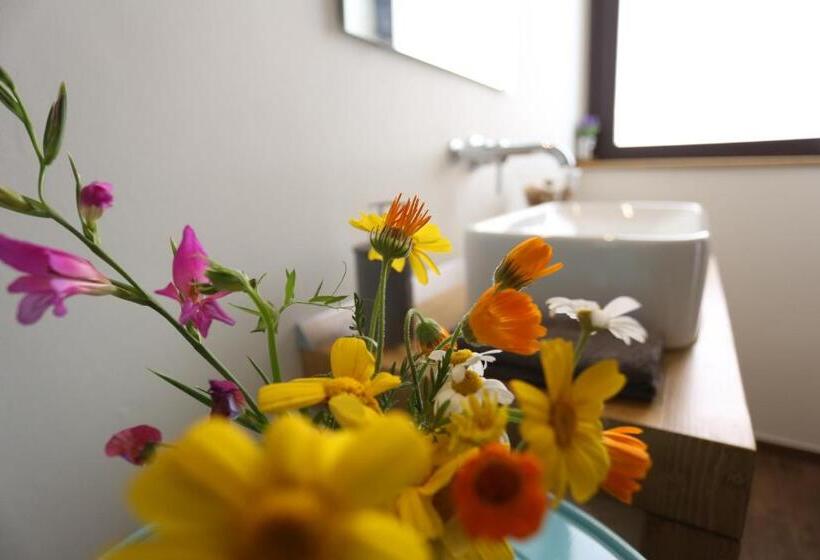 חדר משפחתי, Pura Vida Barocca