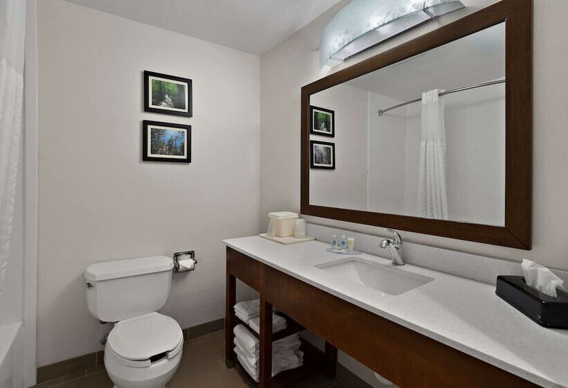 סוויטה, Comfort Inn & Suites Santee I95