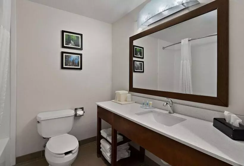 スイート, Comfort Inn & Suites Santee I95