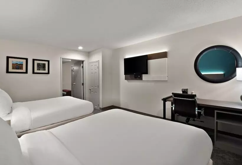 スイート, Comfort Inn & Suites Santee I95