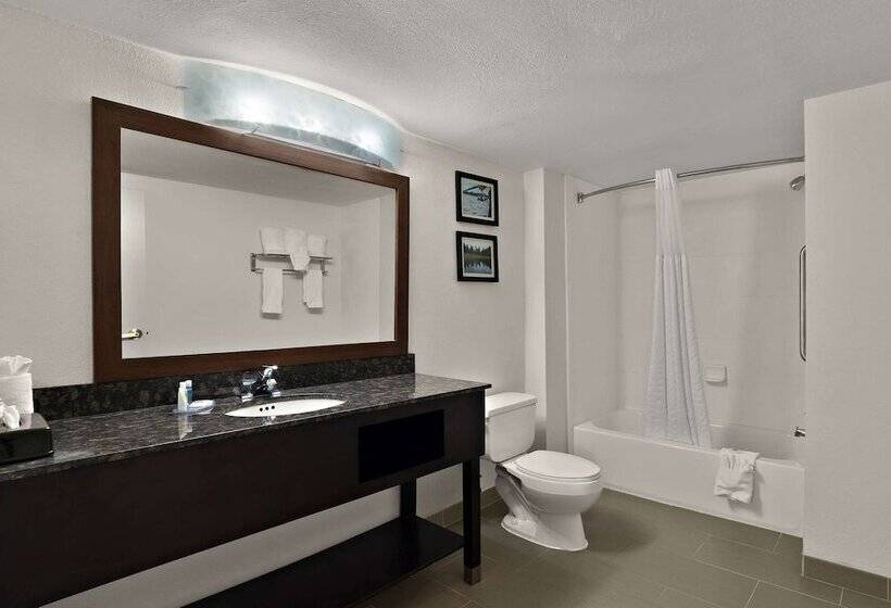 סוויטה, Comfort Inn & Suites Santee I95