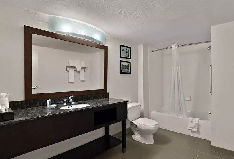スイート, Comfort Inn & Suites Santee I95