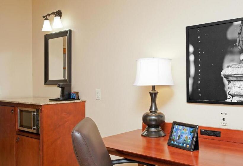 带大床的套房, Country Inn & Suites By Radisson, Champaign North, Il