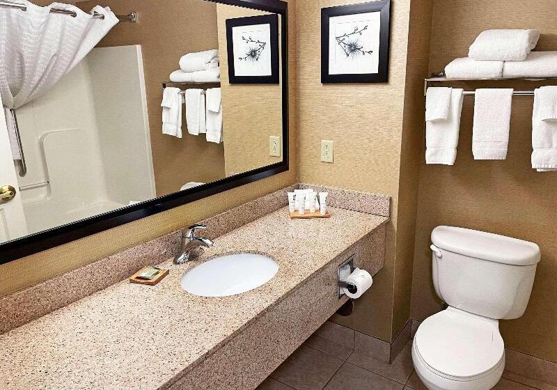 חדר סטנדרט מותאם לאדם עם מוגבלויות, Country Inn & Suites By Radisson, Findlay, Oh