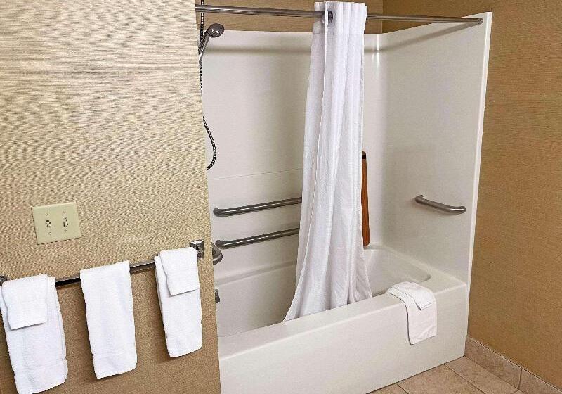 חדר סטנדרט מותאם לאדם עם מוגבלויות, Country Inn & Suites By Radisson, Findlay, Oh