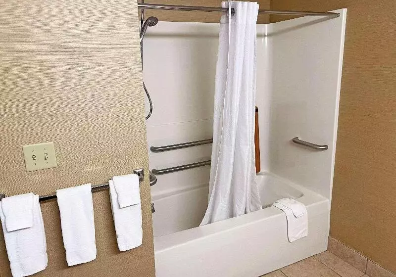 身障者適用スタンダードルーム, Country Inn & Suites By Radisson, Findlay, Oh