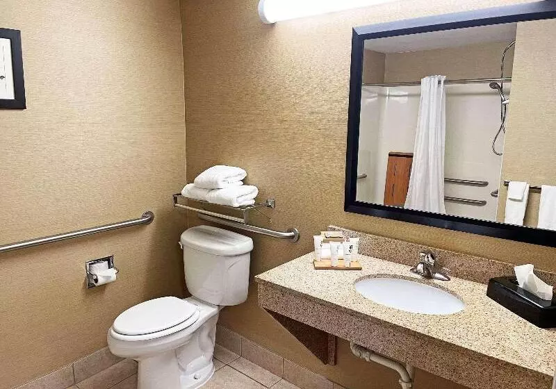 身障者適用スタンダードルーム, Country Inn & Suites By Radisson, Findlay, Oh