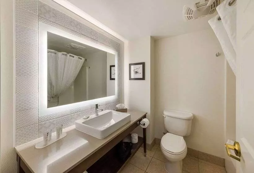 スイート, Country Inn & Suites By Radisson, Findlay, Oh