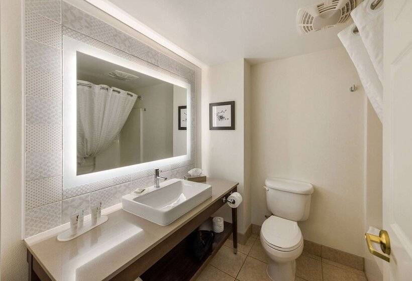 חדר סטודיו סטנדרד, Country Inn & Suites By Radisson, Findlay, Oh