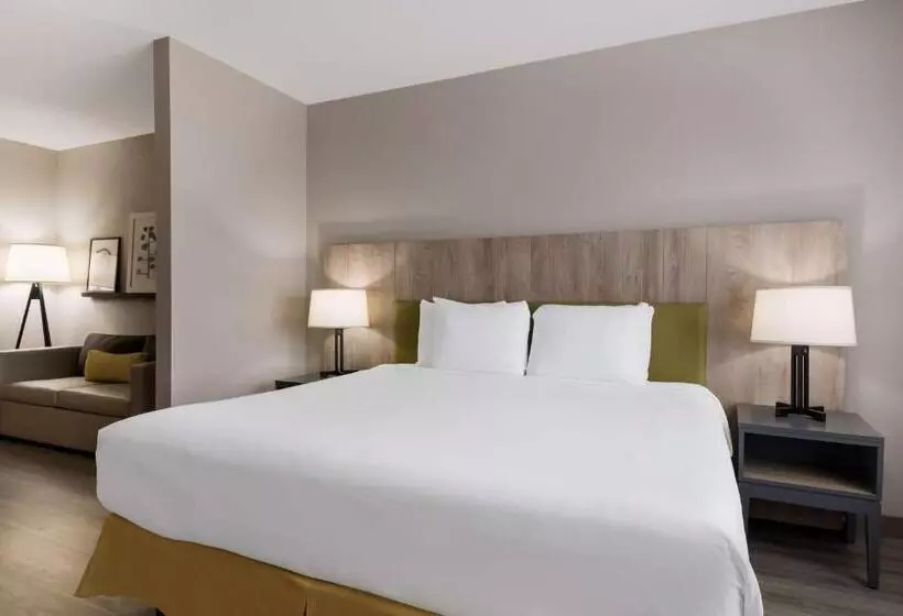 キングサイドベッドのスタンダードワンルーム, Country Inn & Suites By Radisson, Harrisburg Northeast   Hershey
