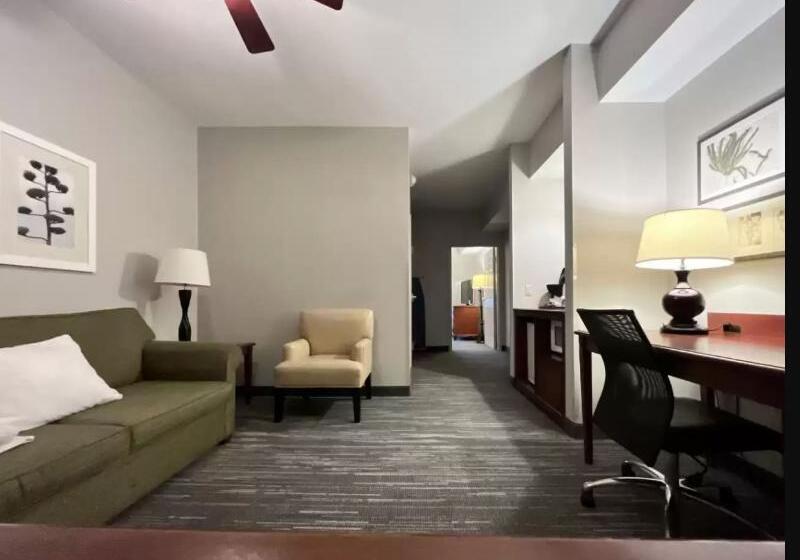 Люкс Кровать Кинг, Country Inn & Suites By Radisson, Harrisburg Northeast Hershey