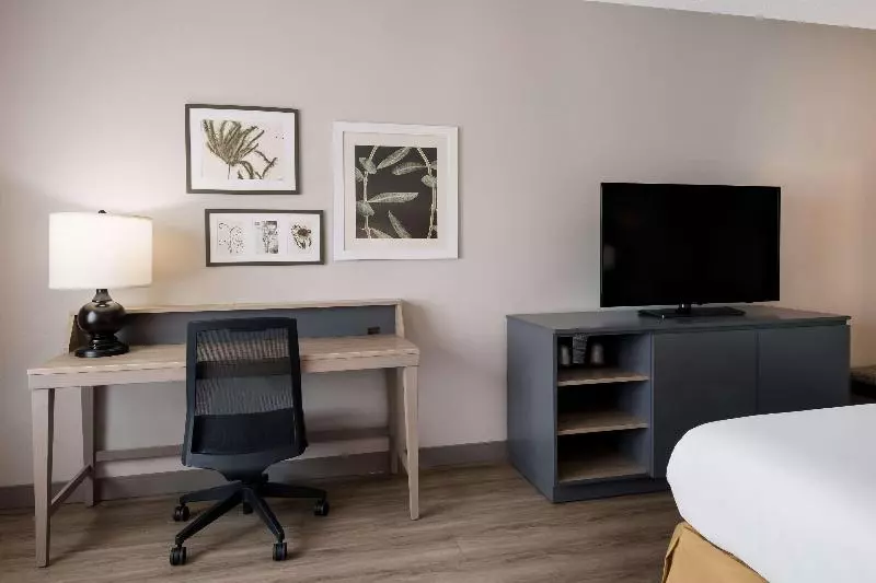 キングサイズベッドのスタンダードルーム, Country Inn & Suites By Radisson, Harrisburg Northeast   Hershey