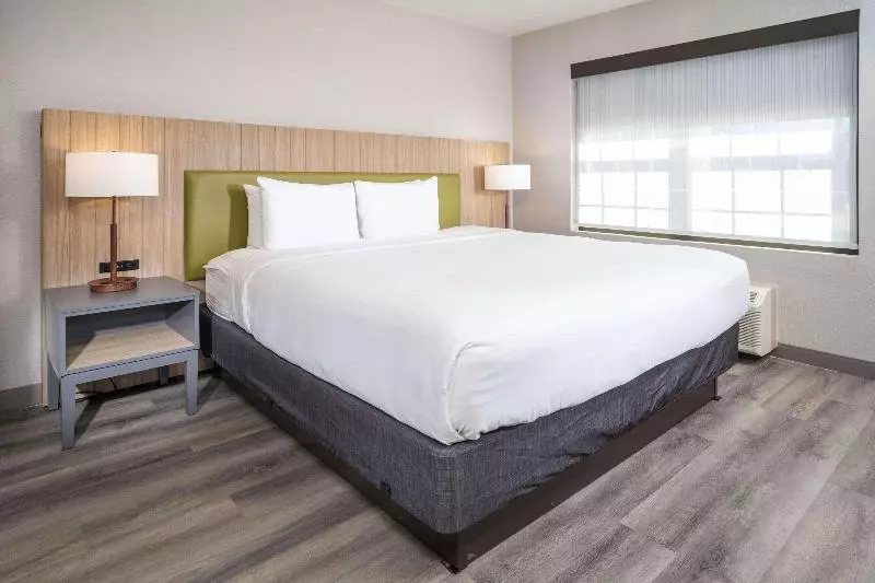 キングサイズベッドのスイートルーム, Country Inn & Suites By Radisson, Stone Mountain, Ga