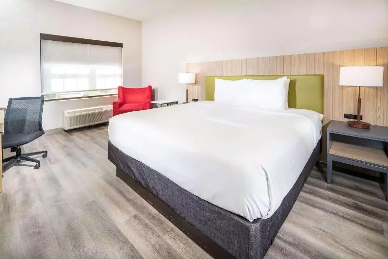 キングサイズベッドのスタンダードルーム, Country Inn & Suites By Radisson, Stone Mountain, Ga
