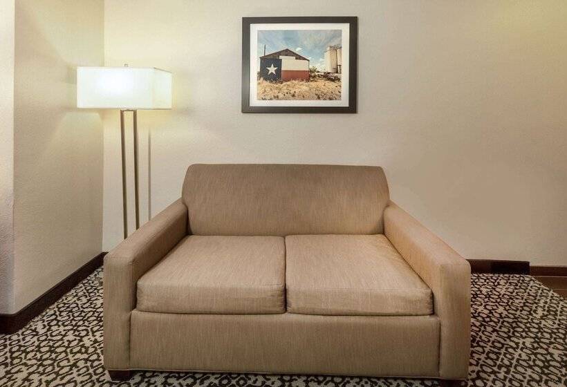 适合残疾人士使用的套间, La Quinta By Wyndham Rockwall