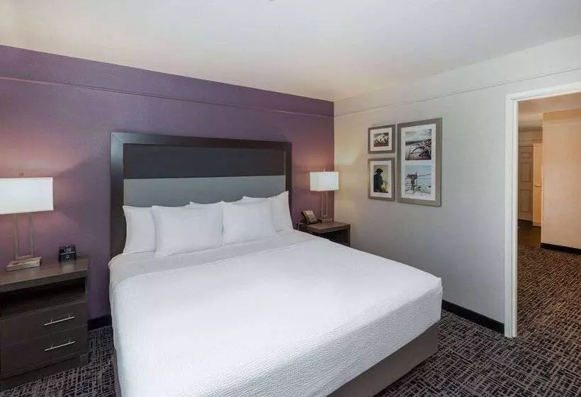 身障者適用スイートルーム, La Quinta By Wyndham Rockwall
