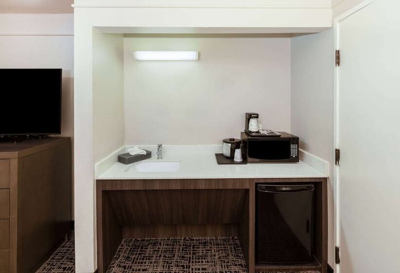 适合残疾人士使用的套间, La Quinta By Wyndham Rockwall