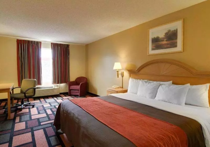 キングサイズベッドのスタンダードルーム, Quality Inn & Suites Malvern