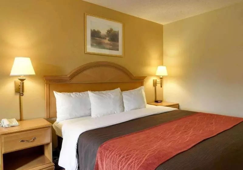 キングサイズベッドのスタンダードルーム, Quality Inn & Suites Malvern