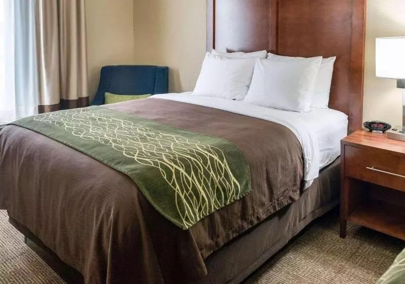 اتاق سوپریور, Ramada Plaza Shanghai Pudong Airport