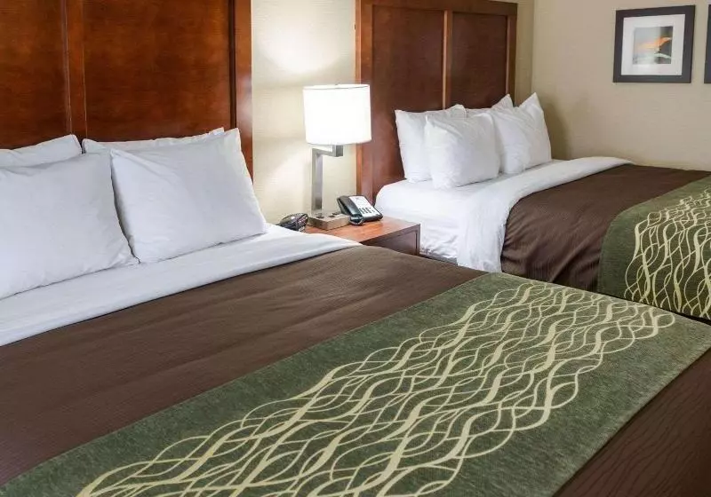 اتاق سوپریور, Ramada Plaza Shanghai Pudong Airport