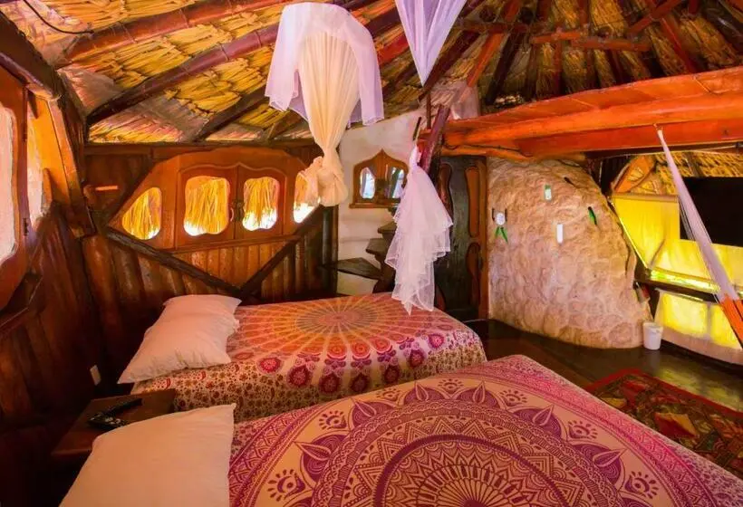 スタンダードルーム, La Quinta Orquídea