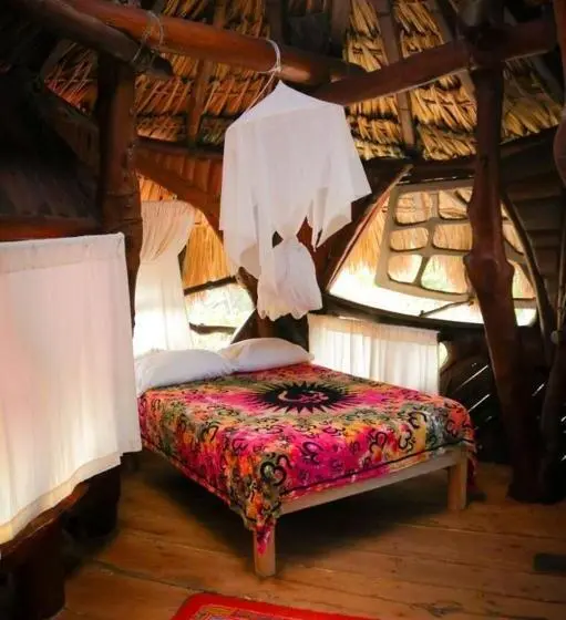 スタンダードルーム, La Quinta Orquídea