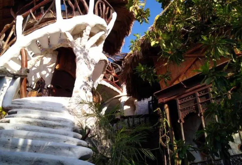 デラックスルーム, La Quinta Orquídea