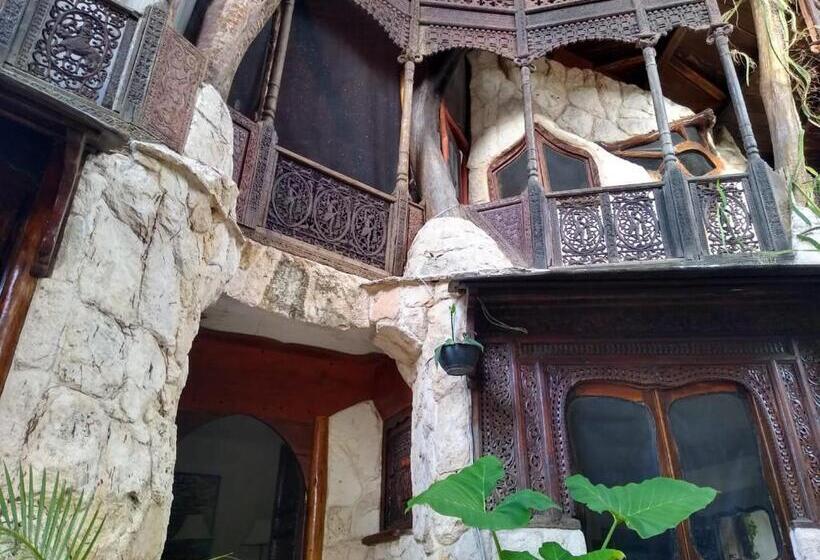 디럭스 스위트, La Quinta Orquídea