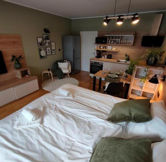 آپارتمان 1 خوابه با بالکن, Bed & Breakfast Rezidenca Pipanova