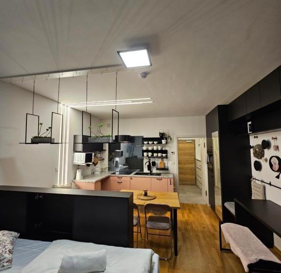 آپارتمان 1 خوابه با تراس, Bed & Breakfast Rezidenca Pipanova