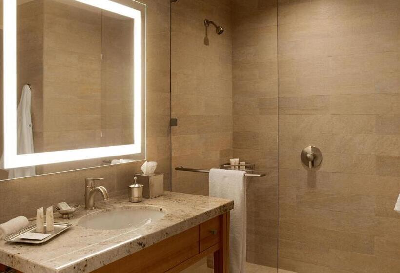 장애인을 위한 킹사이즈 침대 스탠다드 룸, Luskin