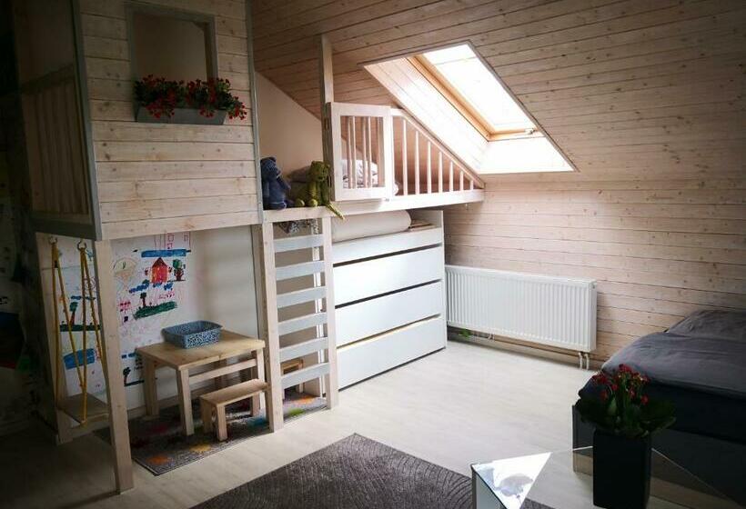 اتاق خانوادگی, Viesu Nams Amrai