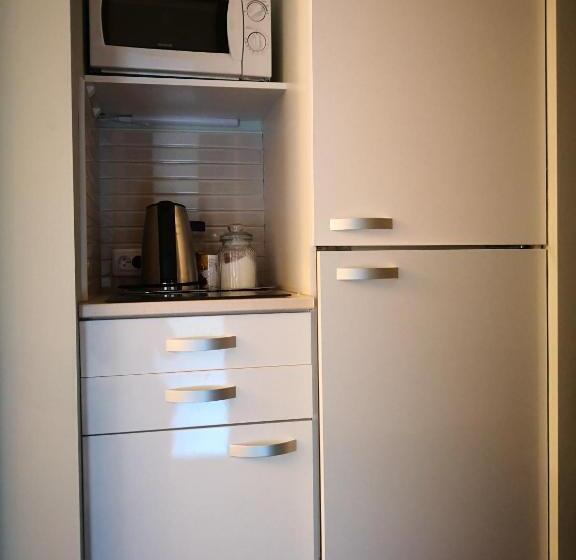 اتاق لوکس, Viesu Nams Amrai