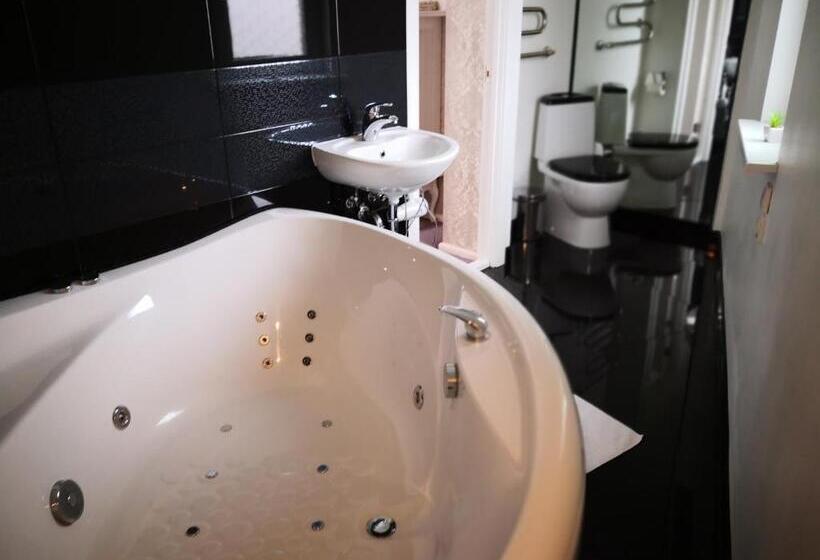 اتاق لوکس, Viesu Nams Amrai