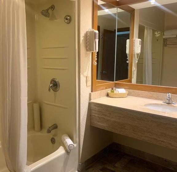 带1个卧室的公寓, Vidant At Nuevo Vallarta