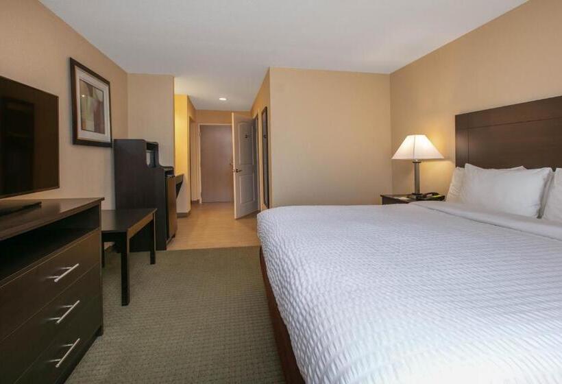 Стандартный Номер Кровать Кинг, Days Inn & Suites By Wyndham Florence/jackson Area