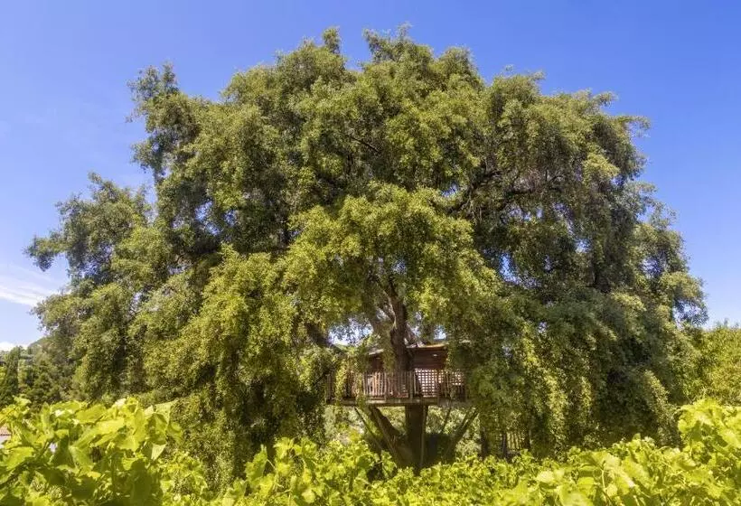 خانه 1 خوابه, Château De Valmer