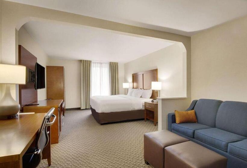 غرفة قياسية سرير كينج, Comfort Inn Airport