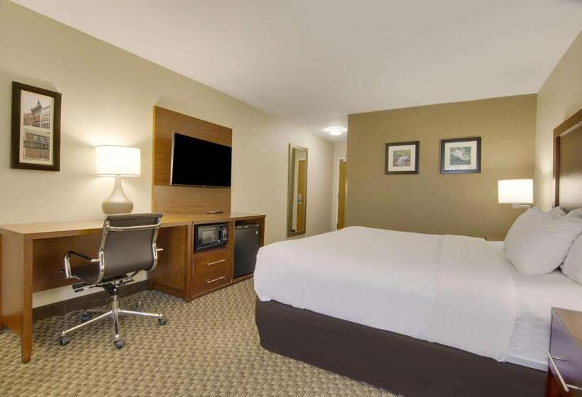 غرفة قياسية سرير كينج, Comfort Inn Airport