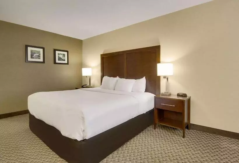 اتاق استاندارد با تخت بزرگ برای معلولان, Comfort Inn Airport