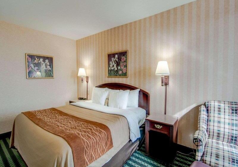 غرفة قياسية سرير كينج, Comfort Inn Airport