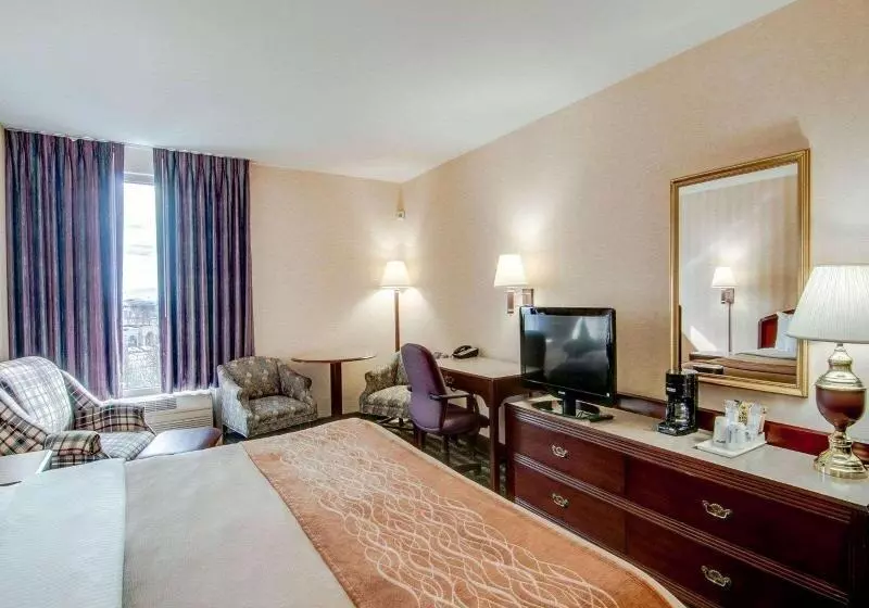 اتاق استاندارد با تخت بزرگ, Comfort Inn Airport