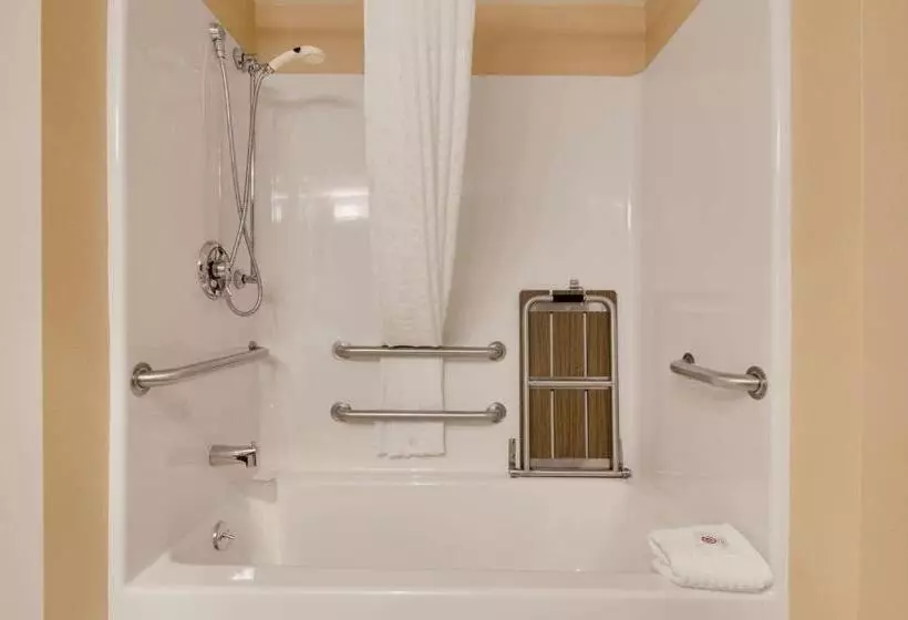 اتاق استاندارد با تخت بزرگ برای معلولان, Comfort Inn Airport