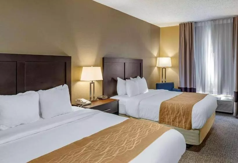 スタンダードルーム, Comfort Inn Evanston I 80